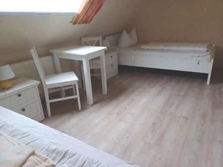 Kinderzimmer Verdunklungsrollo und Mückenschutz