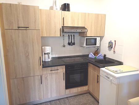 Küchenbereich mit Herd, Kühlschrank, Geschirrspüler und Microwelle lichtdurchflutete Räume